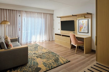 Executive Suite, 1 Bedroom
