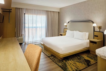 Room, 1 King Bed with Sofa bed