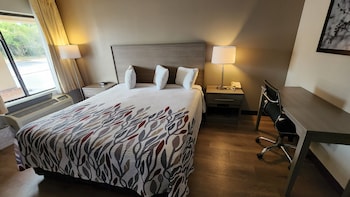 Superior Room, 1 King Bed, Accessible (Roll-In Shower, Smoke Free)