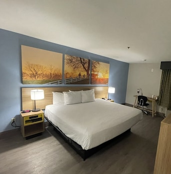 Room, 1 King Bed, Accessible, Non Smoking