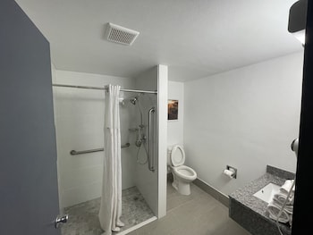 Room, 1 King Bed, Accessible, Non Smoking