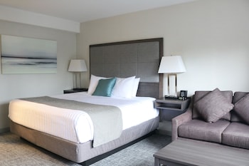 Standard Room, 1 King Bed, Non Smoking, City View
