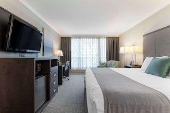 Standard Room, 1 King Bed, Non Smoking, City View