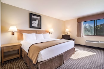 Standard Room, 1 King Bed, Accessible, Refrigerator & Microwave