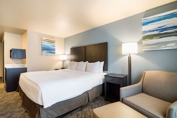 Standard Room, 1 King Bed, Accessible, Bathtub (Pet Friendly)