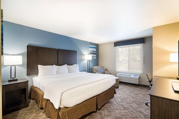 Standard Room, 1 King Bed, Accessible, Bathtub (Pet Friendly)