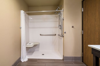 Standard Room, 1 King Bed, Accessible, Bathtub (Pet Friendly)