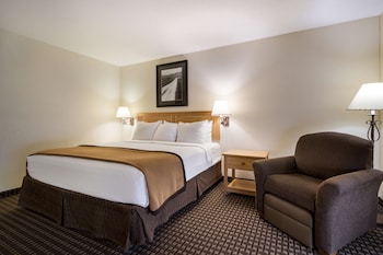 Standard Room, 1 King Bed, Accessible, Refrigerator & Microwave