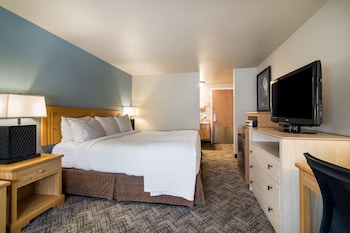 Standard Room, 1 King Bed, Non Smoking, Refrigerator & Microwave