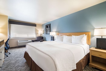 Standard Room, 1 King Bed, Non Smoking, Refrigerator & Microwave