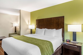 Deluxe Room., 1 King Bed with Sofa Bed, Non Smoking