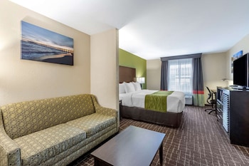 Suite, 1 King Bed with Sofa bed, Non Smoking