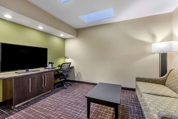 Suite, 1 King Bed with Sofa bed, Non Smoking