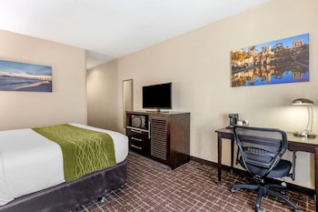Standard Room, 1 King Bed, Accessible Roll-In Shower, Non Smoking