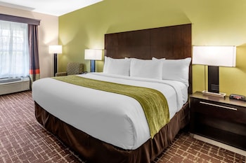 Standard Room, 1 King Bed, Accessible Roll-In Shower, Non Smoking