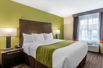 Deluxe Room., 1 King Bed with Sofa Bed, Non Smoking