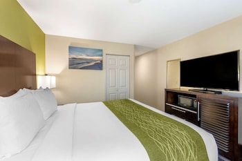 Suite, 1 King Bed with Sofa bed, Non Smoking
