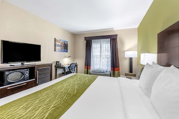 Standard Room, 1 King Bed, Accessible Roll-In Shower, Non Smoking