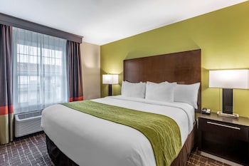 Suite, 1 King Bed with Sofa bed, Non Smoking