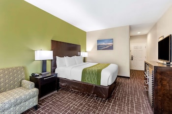 Standard Room, 1 King Bed, Accessible Roll-In Shower, Non Smoking