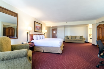 Junior Studio Suite, 1 King Bed