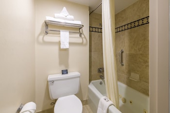 Junior Studio Suite, 1 King Bed