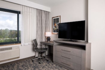 Suite, Accessible, Non Smoking