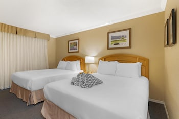 Standard Room, 2 Double Beds, Non Smoking, Kitchenette