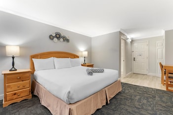 Standard Room, 1 King Bed, Non Smoking, Refrigerator & Microwave