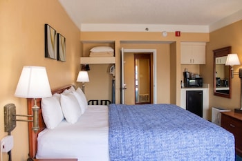 Standard Room, 1 King Bed, Accessible