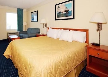 Standard Room, 1 King Bed with Sofa bed