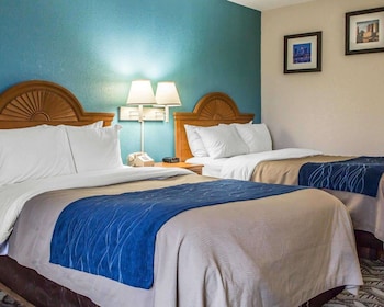 Standard Double Room, 2 Double Beds, Non Smoking