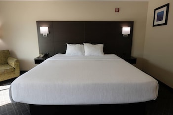 Room, 1 King Bed, Accessible, Non Smoking