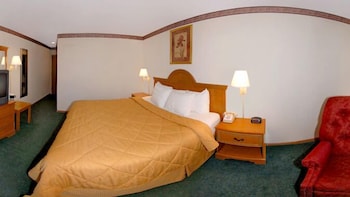 Standard Room, 1 King Bed, Non Smoking