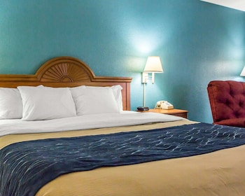 Standard Room, 1 King Bed, Non Smoking