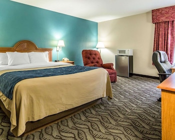Standard Room, 1 King Bed, Non Smoking