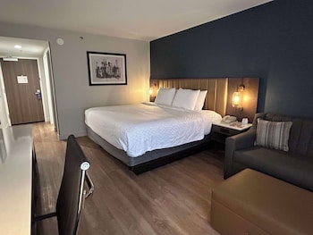 Standard Room, 1 King Bed, Non Smoking, Refrigerator & Microwave (with Sofabed)