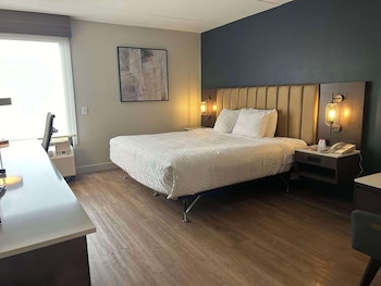Standard Room, 1 King Bed, Non Smoking, Refrigerator & Microwave (with Sofabed)