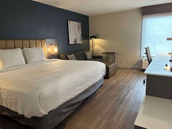 Standard Room, 1 King Bed, Non Smoking, Refrigerator & Microwave (with Sofabed)
