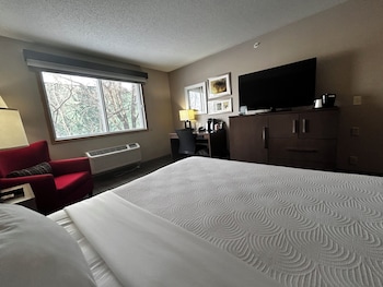 Room, 1 King Bed, Accessible, Non Smoking