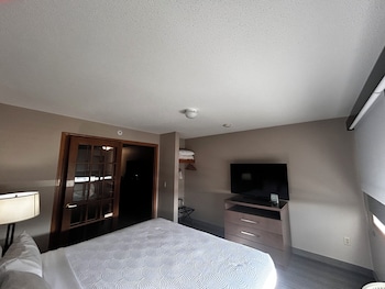 Suite, 1 King Bed with Sofa bed, Non Smoking