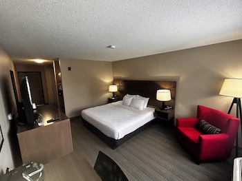 Room, 1 King Bed, Accessible, Non Smoking