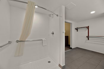 Room, 1 King Bed, Mobility Accessible, Non Smoking (Roll-In Shower)