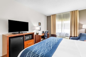 Standard Room, 1 King Bed, Non Smoking