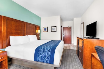 Standard Room, 1 King Bed, Non Smoking