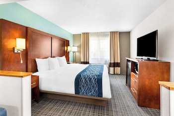 Business Suite, 1 King Bed with Sofa bed, Non Smoking (Upgrade)