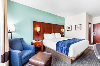 Standard Room, 1 King Bed, Non Smoking