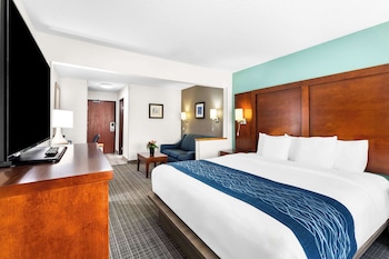 Business Suite, 1 King Bed with Sofa bed, Non Smoking (Upgrade)