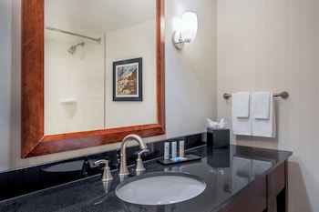 Junior Suite, 1 King Bed, Accessible, Non Smoking (Roll-in Shower)