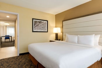 Superior Suite, 1 King Bed with Sofa bed, Non Smoking
